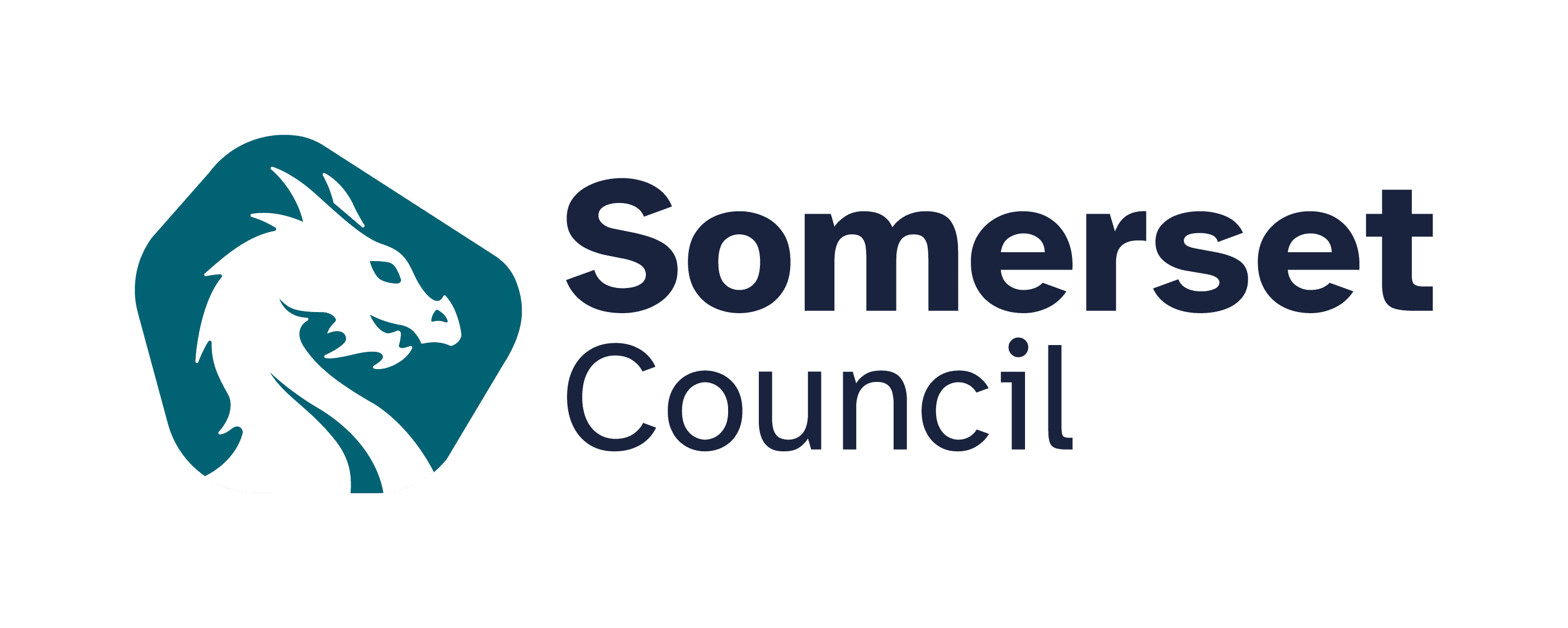Somerset Council logo - horizontal transparent (004)